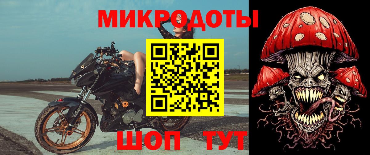 Псилоцибиновые грибы GOLDEN TEACHER  Вход с VPN  Славянск-на-Кубани 