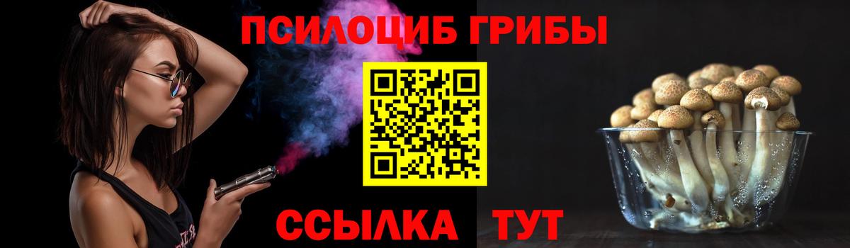Псилоцибиновые грибы мицелий Славянск-на-Кубани