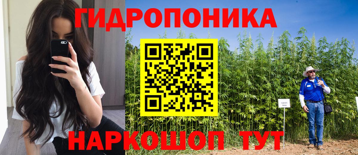 Бошки марихуана AK-47  Бошки Шишки тримм  Вход с VPN  Славянск-на-Кубани  Шишки марихуана VHQ 